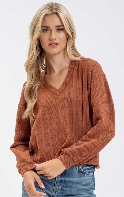 Brushed V-Neck Knit  Top